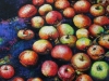 Fallen Apples, Dunraven 2012